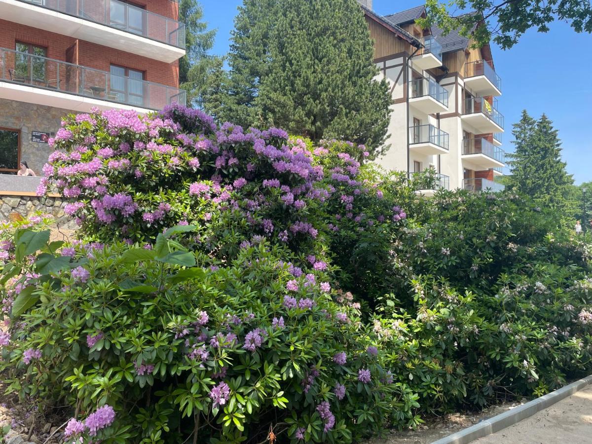 Apartament N&B Sklářská Poruba Exteriér fotografie